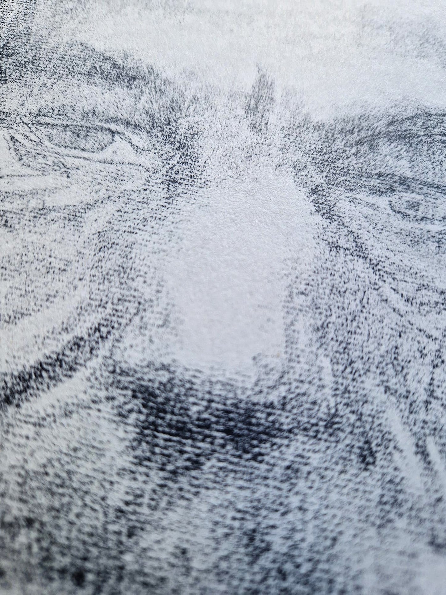 Käthe Kollwitz - Dr. Heinrich Brau (Unframed), High-Quality Collotype Print
