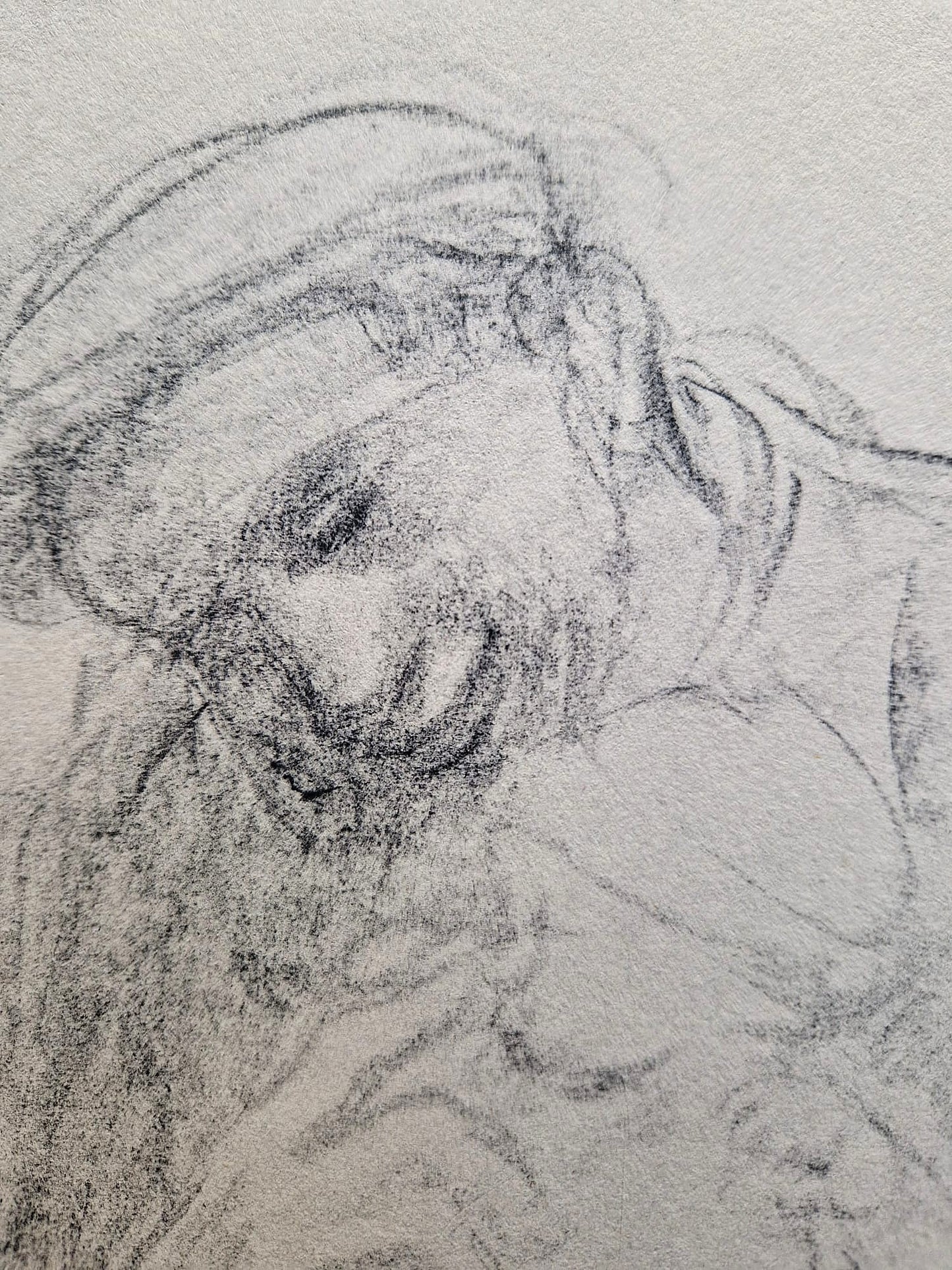 Käthe Kollwitz – Rodina (bez rámu), vysokokvalitná kolotypia