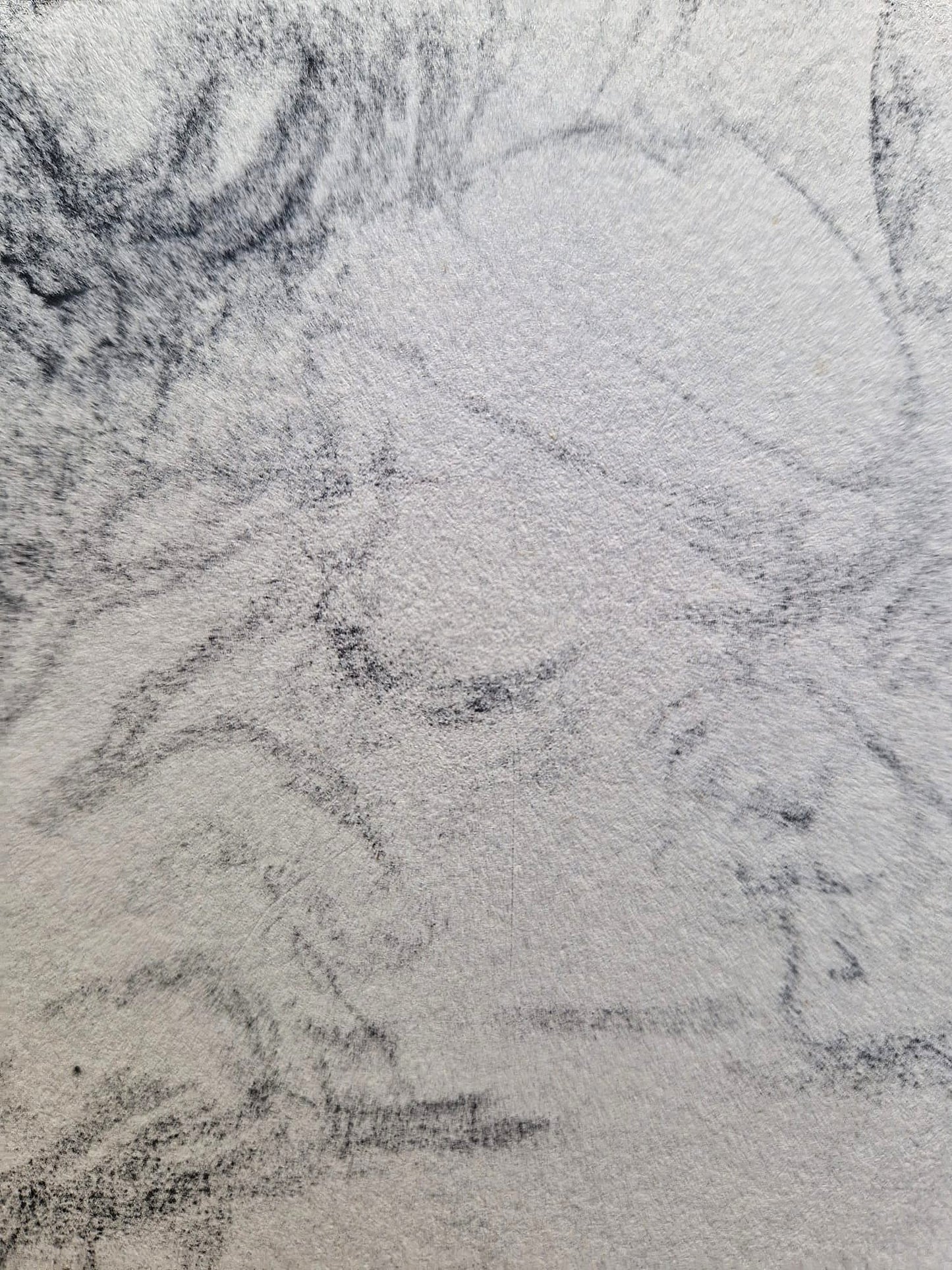 Käthe Kollwitz – Rodina (bez rámu), vysokokvalitná kolotypia