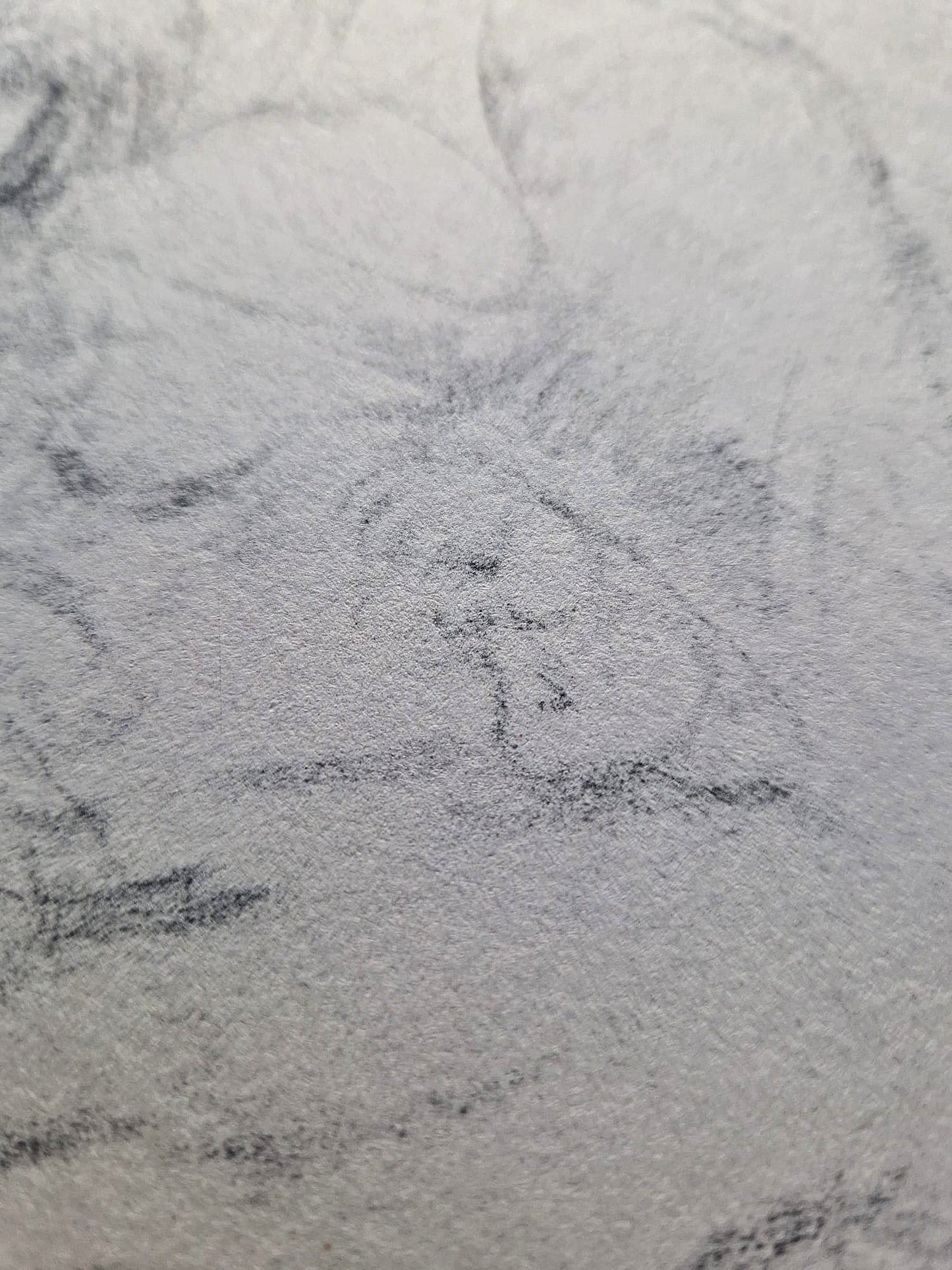 Käthe Kollwitz – Rodina (bez rámu), vysokokvalitná kolotypia