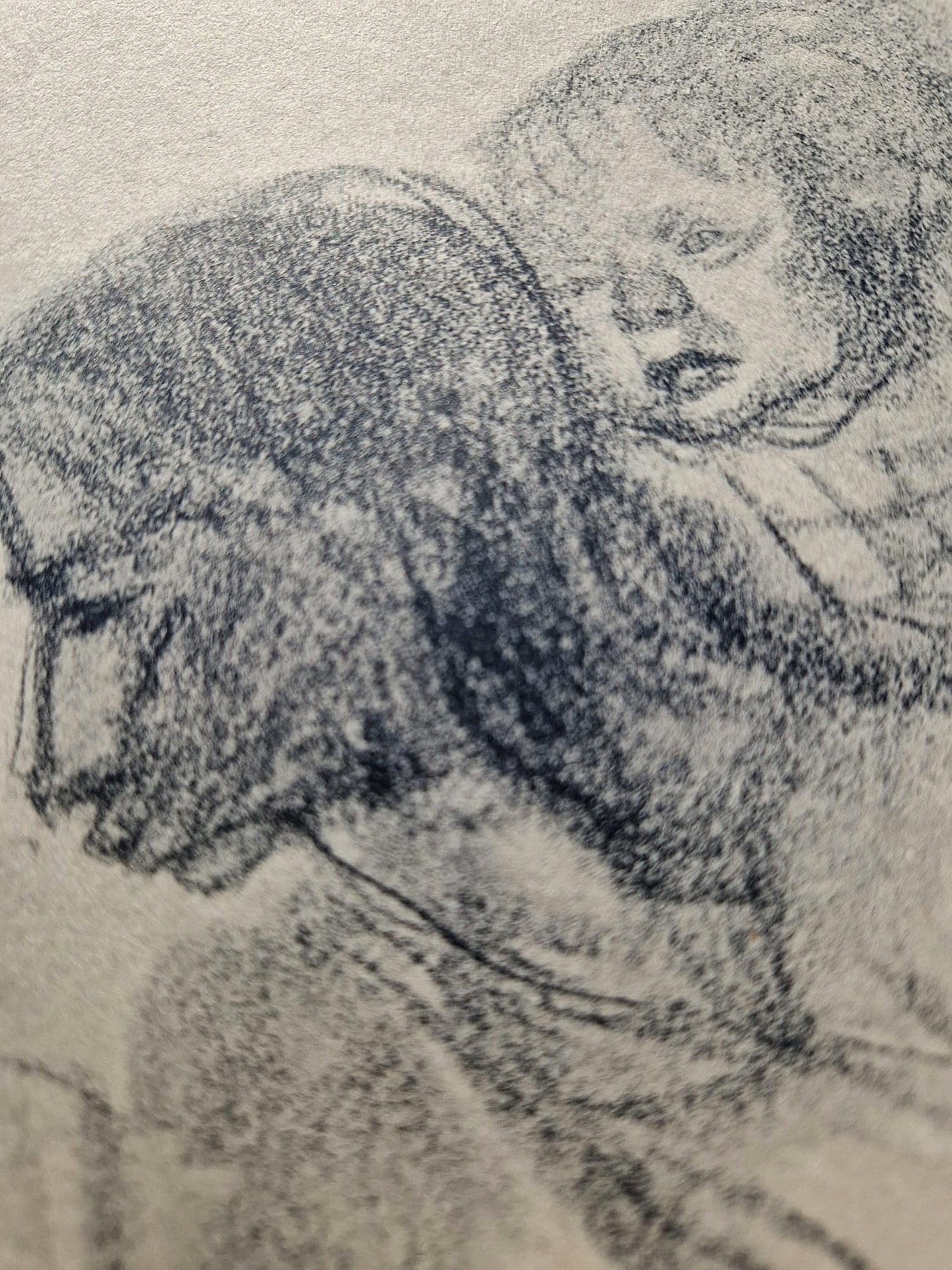 Käthe Kollwitz - Rodina (nerámovaná), vysokokvalitná kolotypia