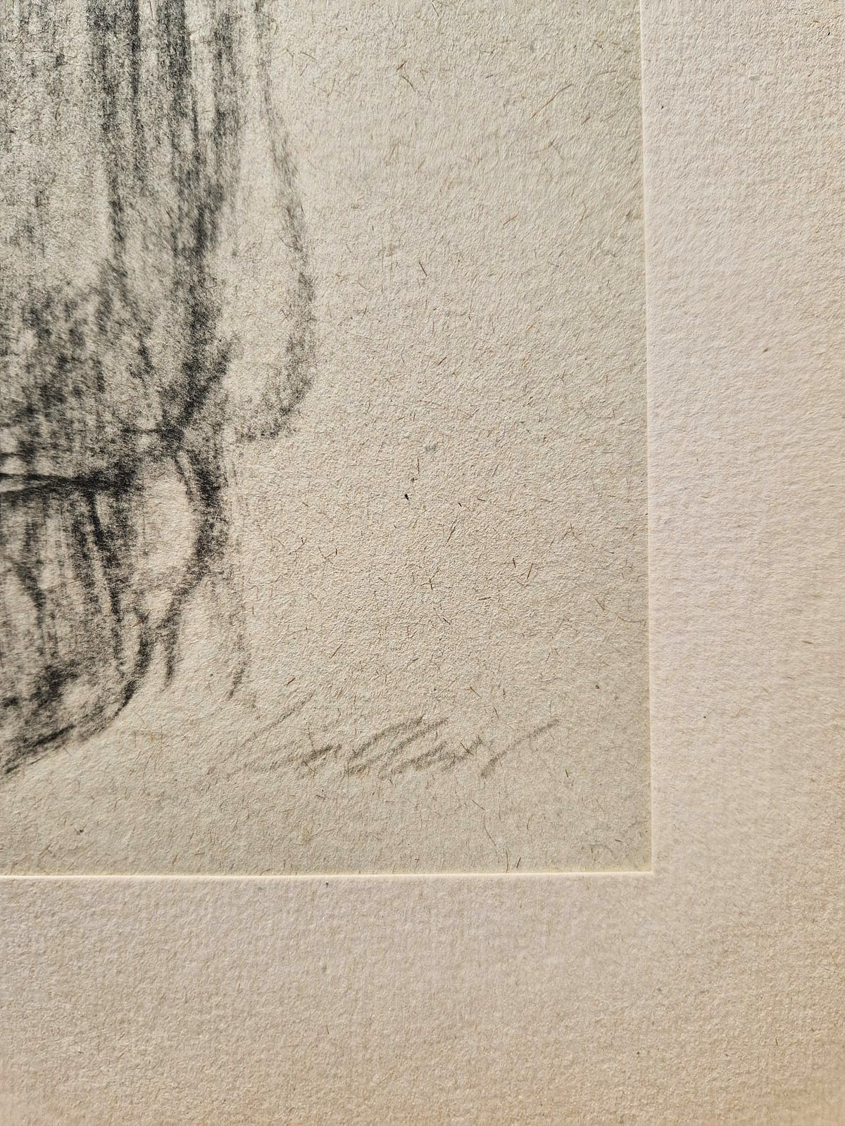 Käthe Kollwitz - Matka ochranná (bez rámu), vysokokvalitná kolotypia