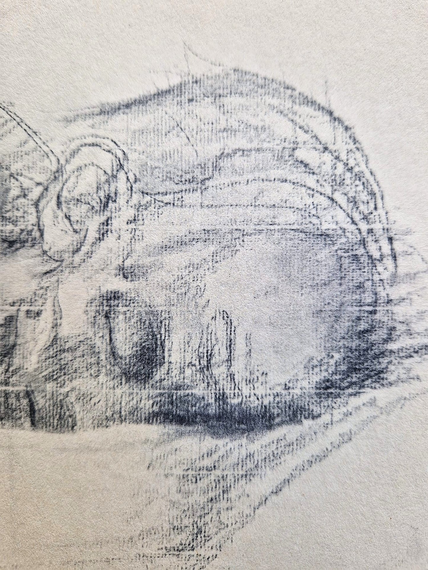 Käthe Kollwitz - Barlach on his Deathbed (Unframed), High-Quality Collotype Print